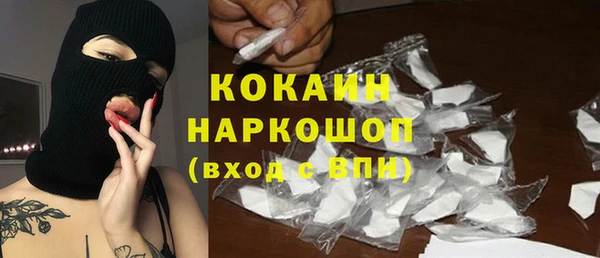 метадон Богданович