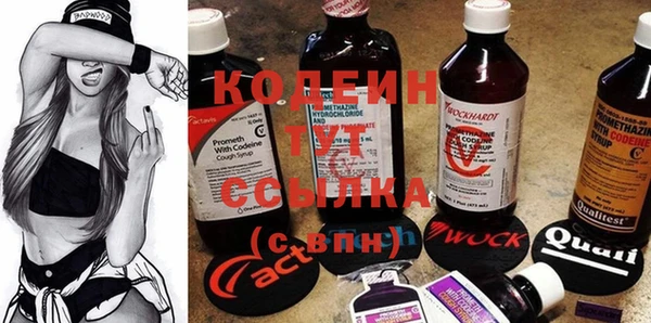 метадон Богданович