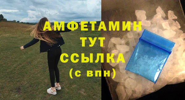 метадон Богданович