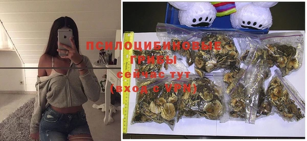 не бодяженный Богородицк