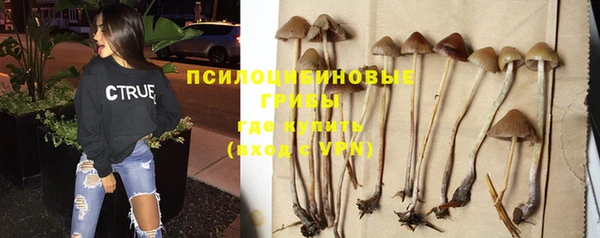спиды Каменка