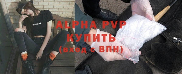 метадон Богданович