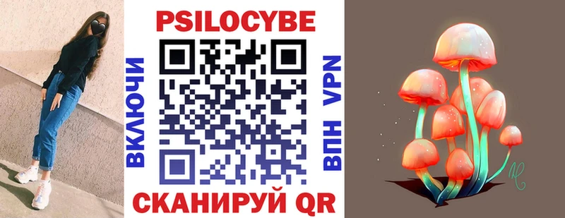 закладка  Высоцк  Галлюциногенные грибы GOLDEN TEACHER 